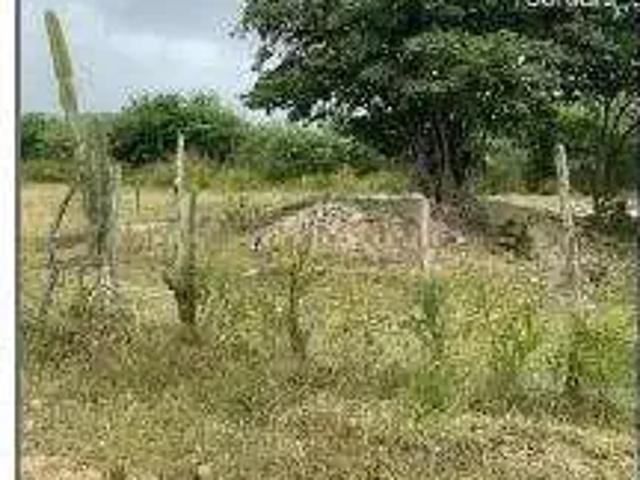 Terreno / Lote para Venda em Goiana/PE Distrito de Tejucupapo