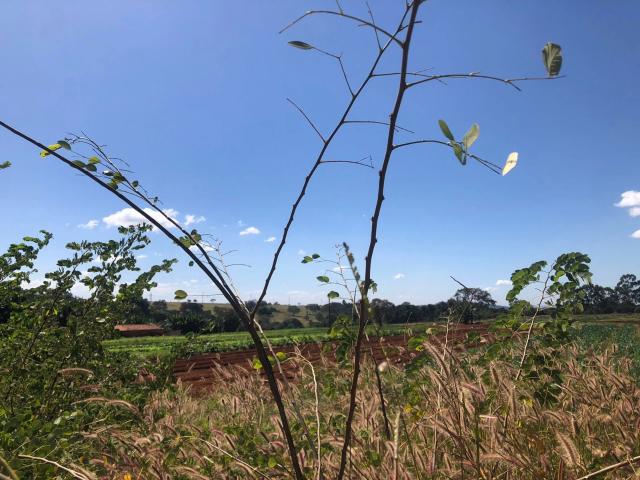 Terreno / Lote para Venda em Goiânia/GO Anhangüera