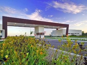 Terreno / Lote para Venda em Goiânia/GO Jardins Amsterdã