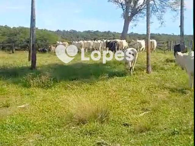Terreno / Lote para Venda em Goiânia/GO Setor Marista