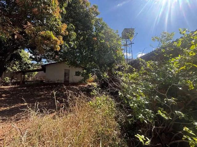 Terreno / Lote para Venda em Goiânia/GO Setor Pedro Ludovico