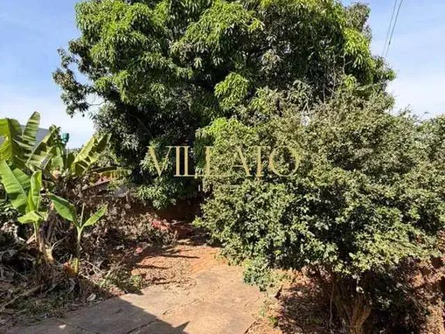 Terreno / Lote para Venda em Goiânia/GO Setor Pedro Ludovico
