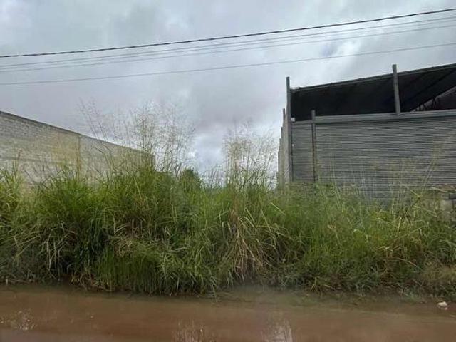 Terreno / Lote para Venda em Goiânia/GO Setor Três Marias