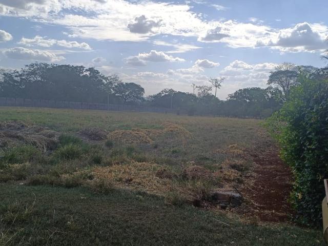 Terreno / Lote para Venda em Goiânia/GO Sítio de Recreio Paraíso Tropical