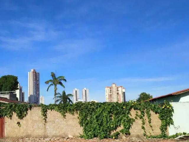 Terreno / Lote para Venda em Goiânia/GO Parque Amazônia