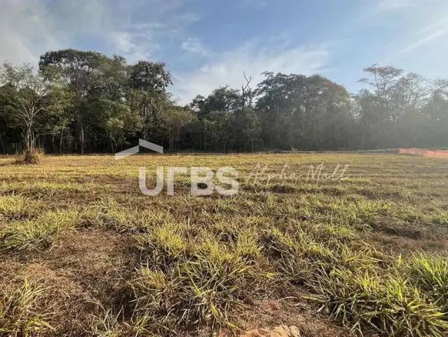 Terreno / Lote para Venda em Goiânia/GO Parque Cidade