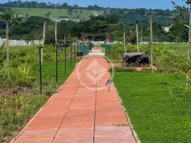 Terreno / Lote para Venda em Goiânia/GO Parque Cidade