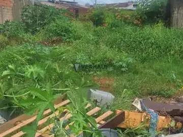 Terreno / Lote para Venda em Goiânia/GO Residencial Forteville