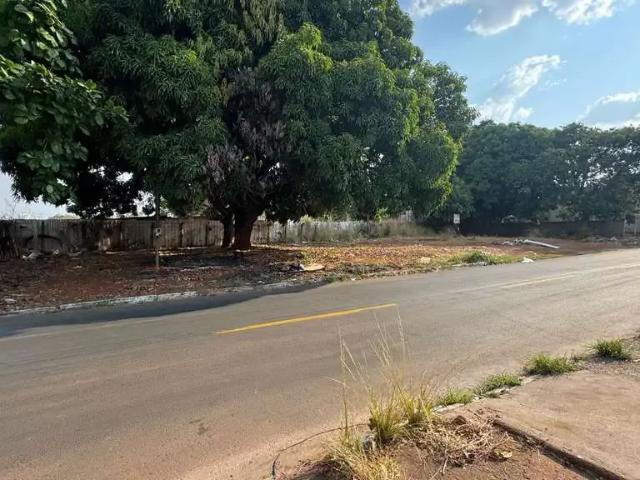Terreno / Lote para Venda em Goiânia/GO Vila Jardim São Judas Tadeu