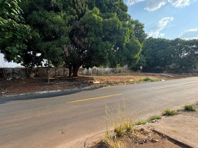 Terreno / Lote para Venda em Goiânia/GO Vila Jardim São Judas Tadeu