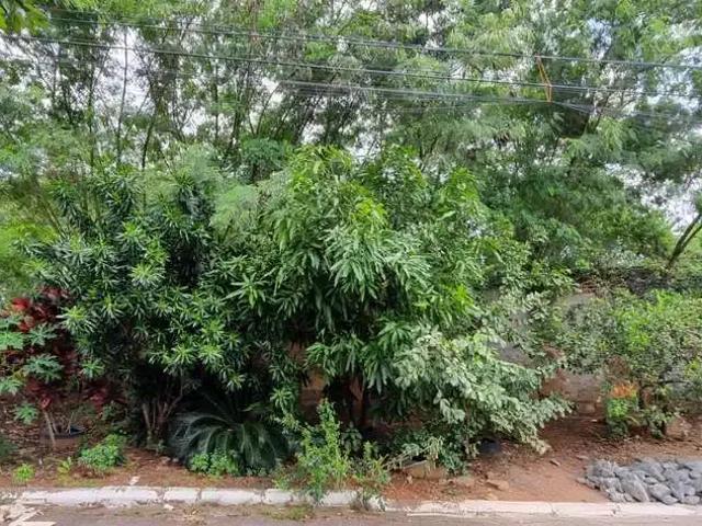 Terreno / Lote para Venda em Goiânia/GO Vila Monticelli