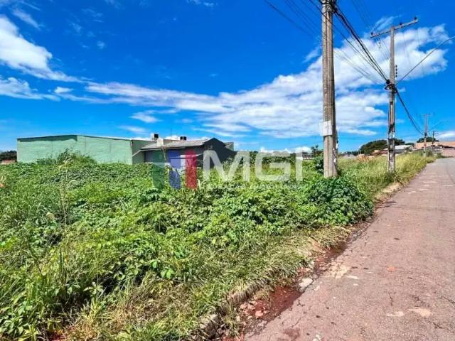 Terreno / Lote para Venda em Goiânia/GO Village Veneza