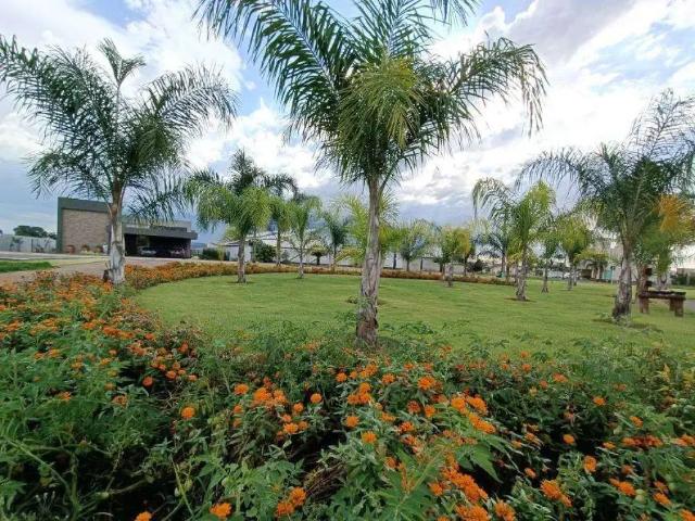 Terreno / Lote para Venda em Goianira/GO Condomínio Villágio Baiocchi