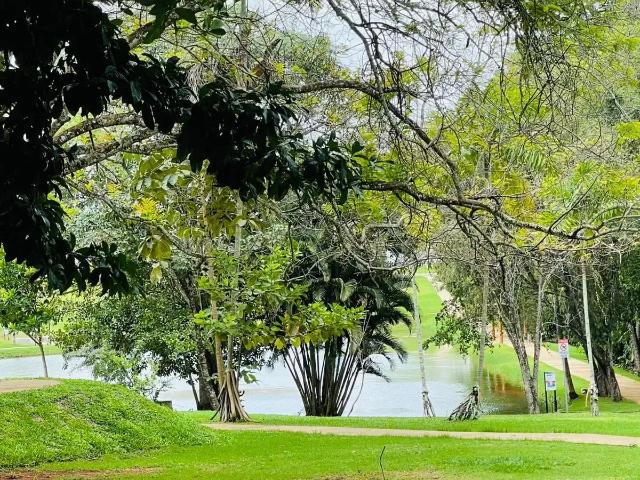 Terreno / Lote para Venda em Goianira/GO Residencial Triunfo