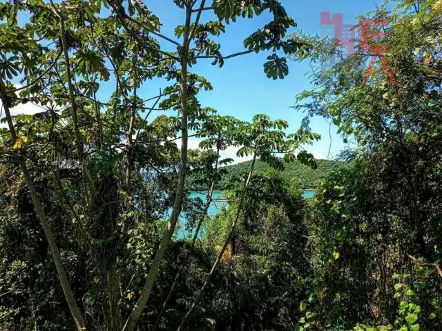 Terreno / Lote para Venda em Governador Celso Ramos/SC Centro