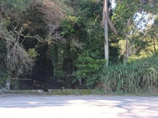 Terreno / Lote para Venda em Governador Celso Ramos/SC Jordão