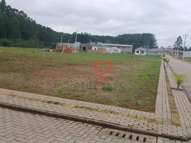 Terreno / Lote para Venda em Glorinha/RS Centro
