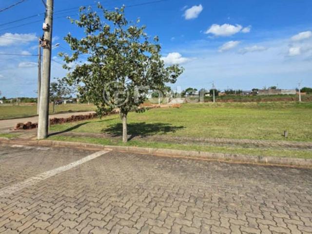 Terreno / Lote para Venda em Glorinha/RS Centro