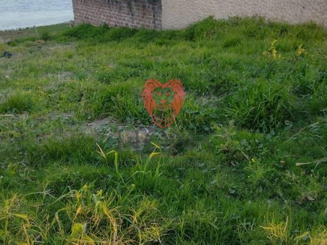 Terreno / Lote para Venda em Glorinha/RS Centro