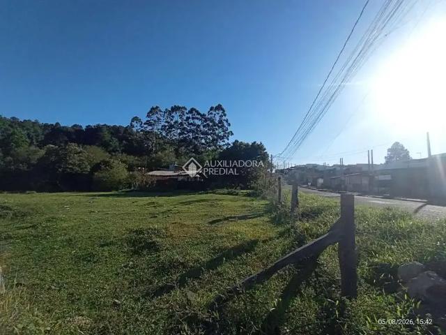 Terreno / Lote para Venda em Gravataí/RS Mato Alto