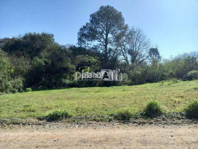 Terreno / Lote para Venda em Gravataí/RS Mato Alto