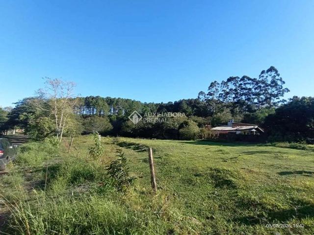 Terreno / Lote para Venda em Gravataí/RS Mato Alto