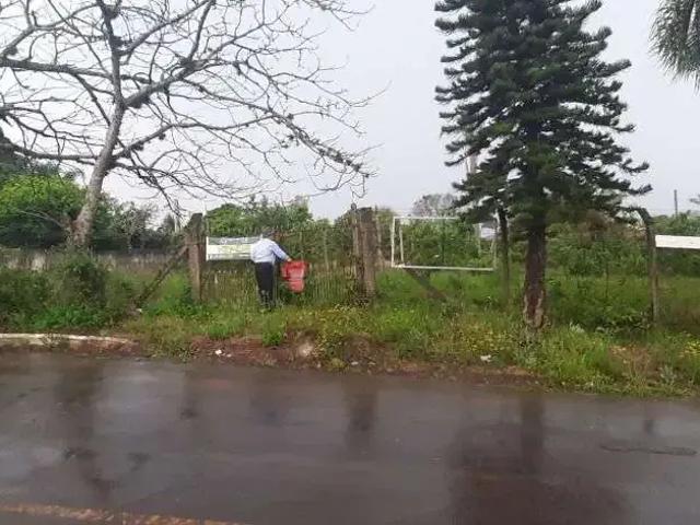 Terreno / Lote para Venda em Gravataí/RS Monte Belo
