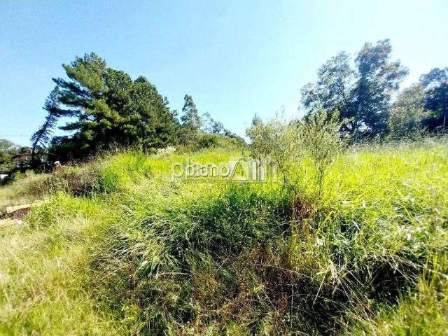 Terreno / Lote para Venda em Gravataí/RS Neópolis