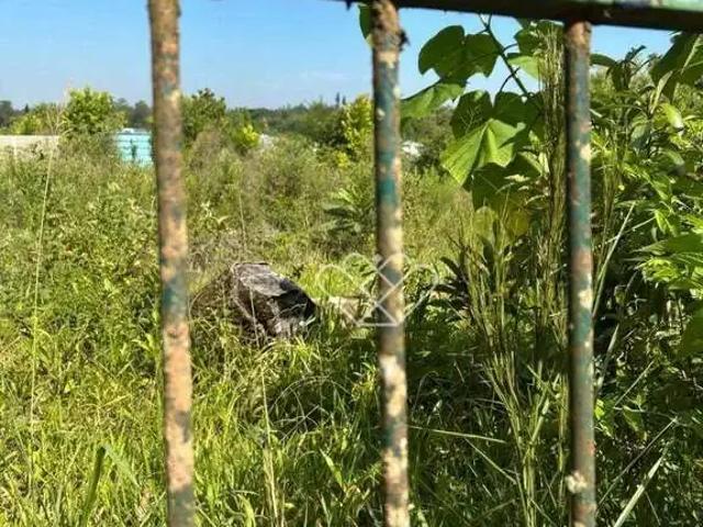 Terreno / Lote para Venda em Gravataí/RS Neópolis