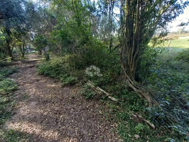 Terreno / Lote para Venda em Gravataí/RS Novo Mundo