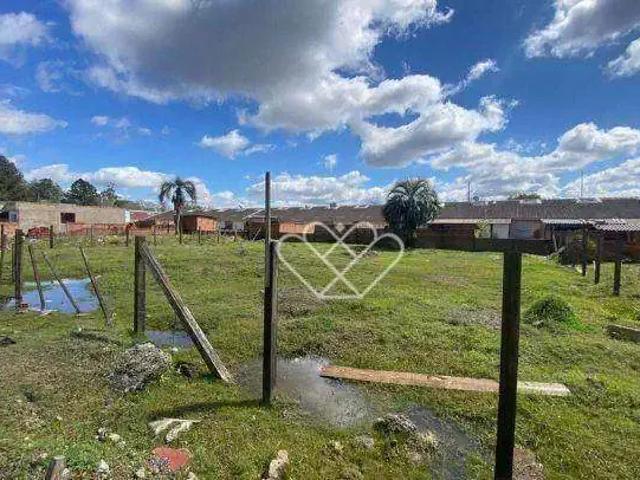 Terreno / Lote para Venda em Gravataí/RS Novo Mundo