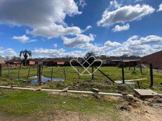 Terreno / Lote para Venda em Gravataí/RS Novo Mundo