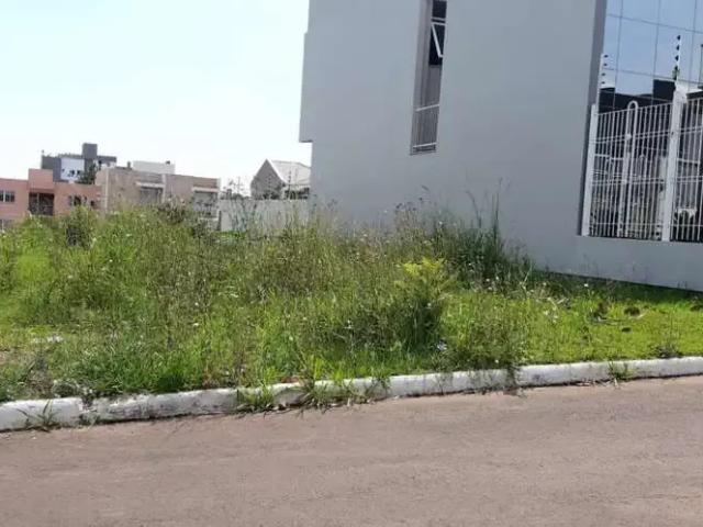Terreno / Lote para Venda em Gravataí/RS Oriço