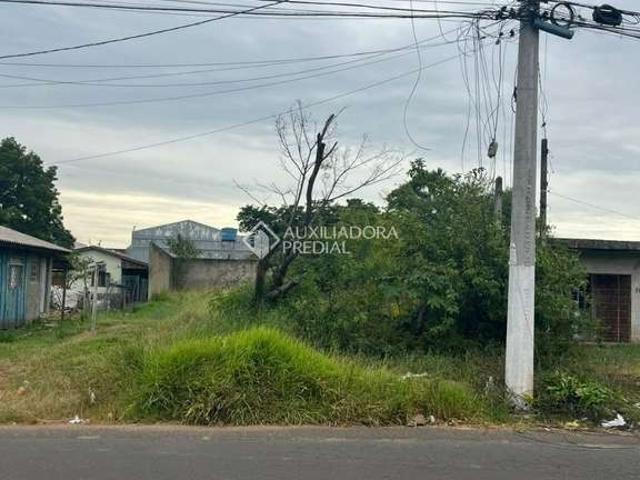 Terreno / Lote para Venda em Gravataí/RS Barnabé