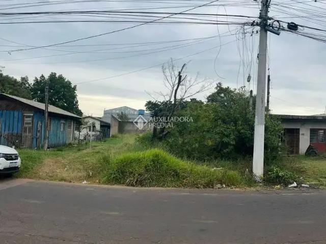 Terreno / Lote para Venda em Gravataí/RS Barnabé
