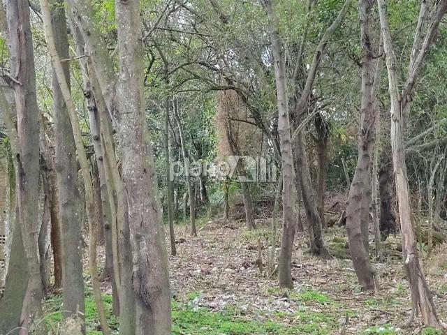 Terreno / Lote para Venda em Gravataí/RS Barnabé
