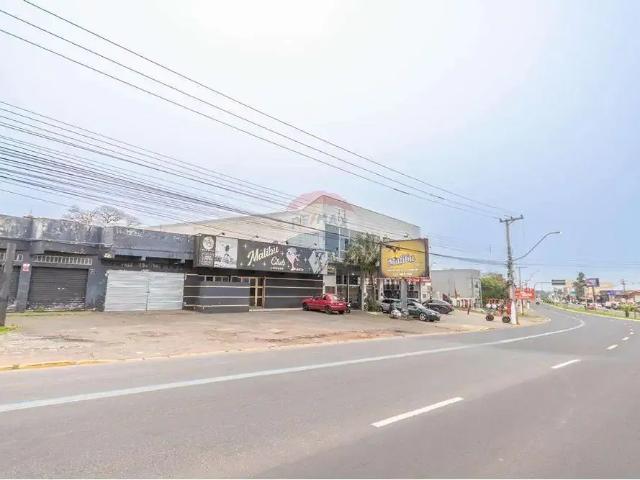 Terreno / Lote para Venda em Gravataí/RS Bom Princípio 1 Quartos