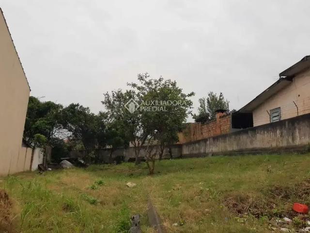 Terreno / Lote para Venda em Gravataí/RS Bom Princípio
