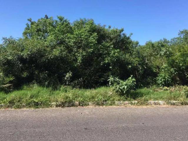 Terreno / Lote para Venda em Gravataí/RS Bom Sucesso
