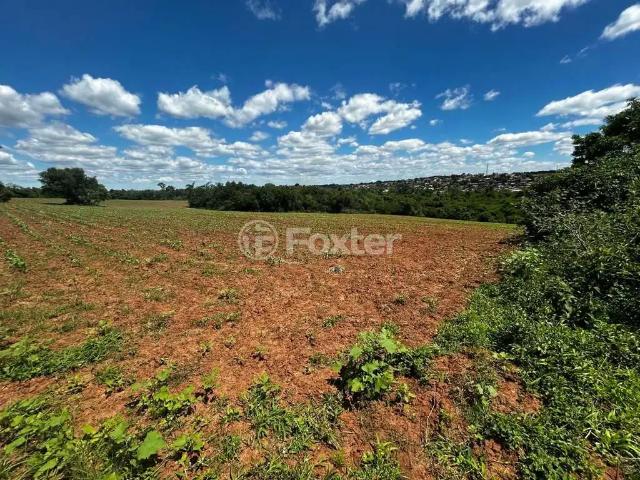 Terreno / Lote para Venda em Gravataí/RS Cadiz