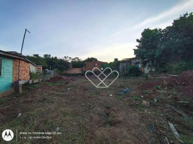 Terreno / Lote para Venda em Gravataí/RS Castelo Branco