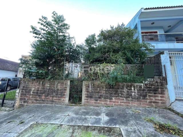 Terreno / Lote para Venda em Gravataí/RS Centro 1 Quartos