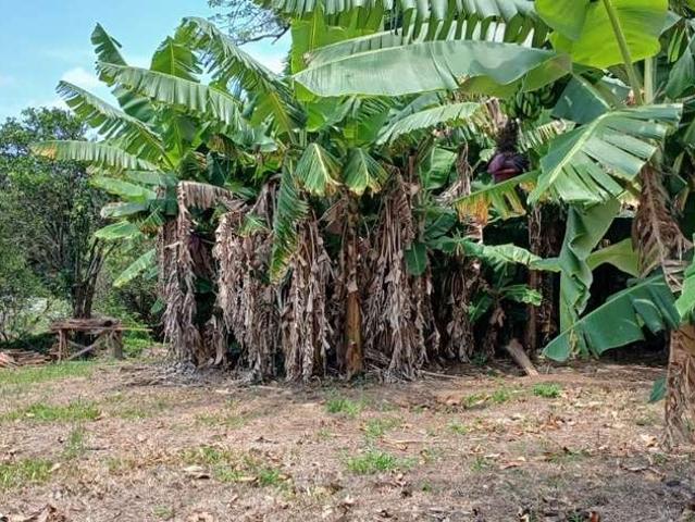 Terreno / Lote para Venda em Gravataí/RS Centro