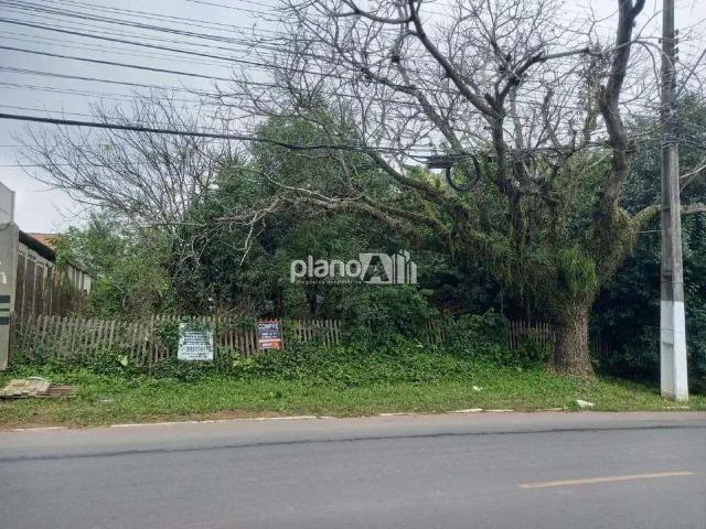 Terreno / Lote para Venda em Gravataí/RS Centro