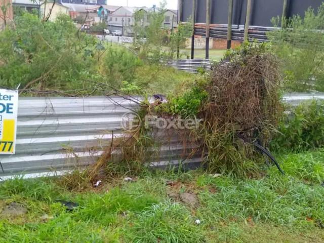 Terreno / Lote para Venda em Gravataí/RS COHAB C