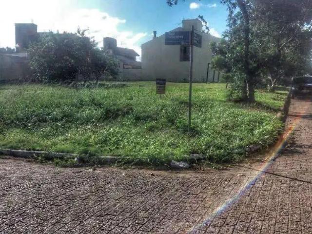 Terreno / Lote para Venda em Gravataí/RS Dom Feliciano