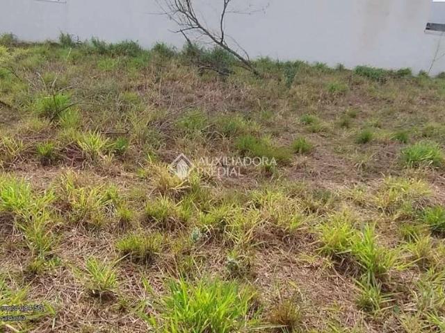 Terreno / Lote para Venda em Gravataí/RS Dom Feliciano