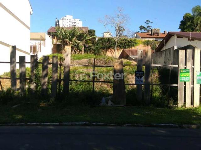 Terreno / Lote para Venda em Gravataí/RS Dom Feliciano
