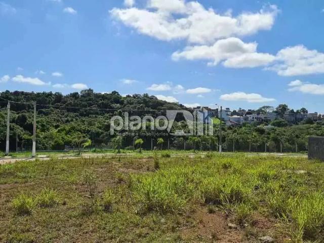 Terreno / Lote para Venda em Gravataí/RS Dom Feliciano