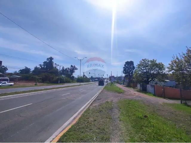 Terreno / Lote para Venda em Gravataí/RS Garibaldina 1 Quartos